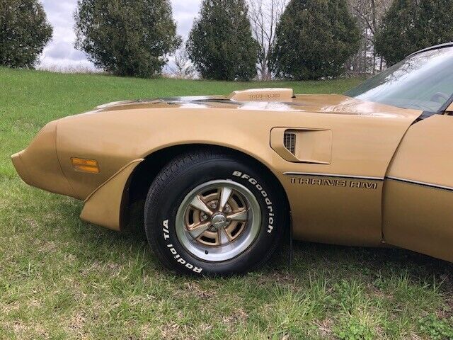 1980 Pontiac Firebird - photo 4
