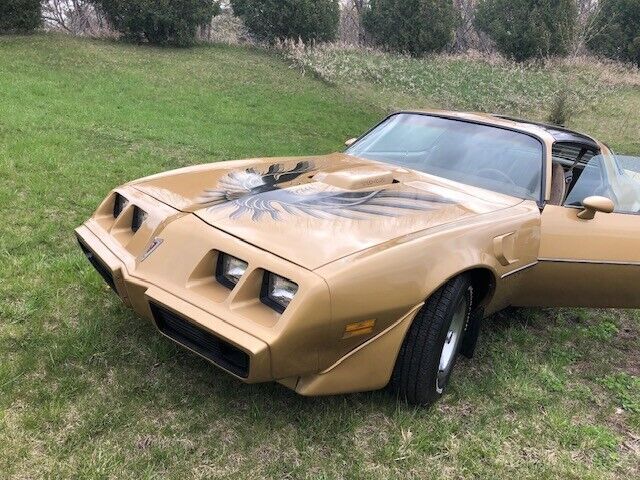 1980 Pontiac Firebird - photo 6