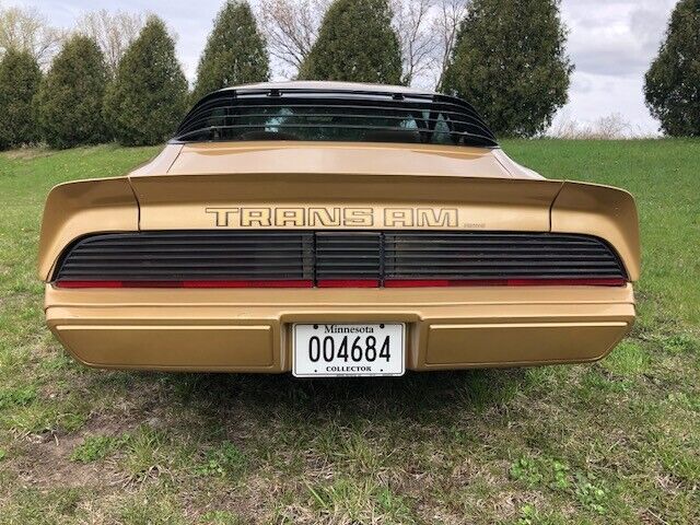 1980 Pontiac Firebird - photo 7