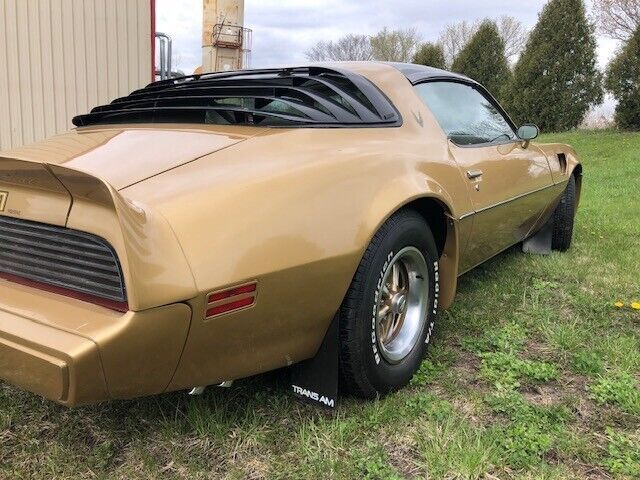 1980 Pontiac Firebird - photo 8