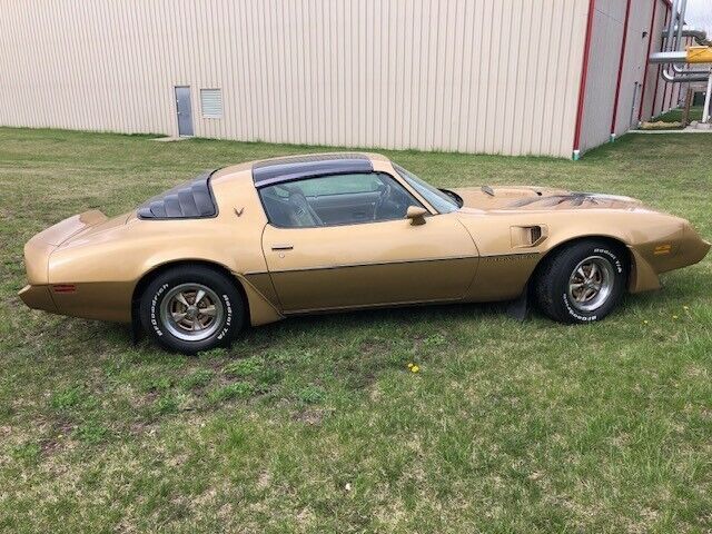 1980 Pontiac Firebird - photo 9