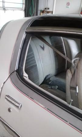 1980 Pontiac Firebird Trans Am Coupe 2-Door - photo 4