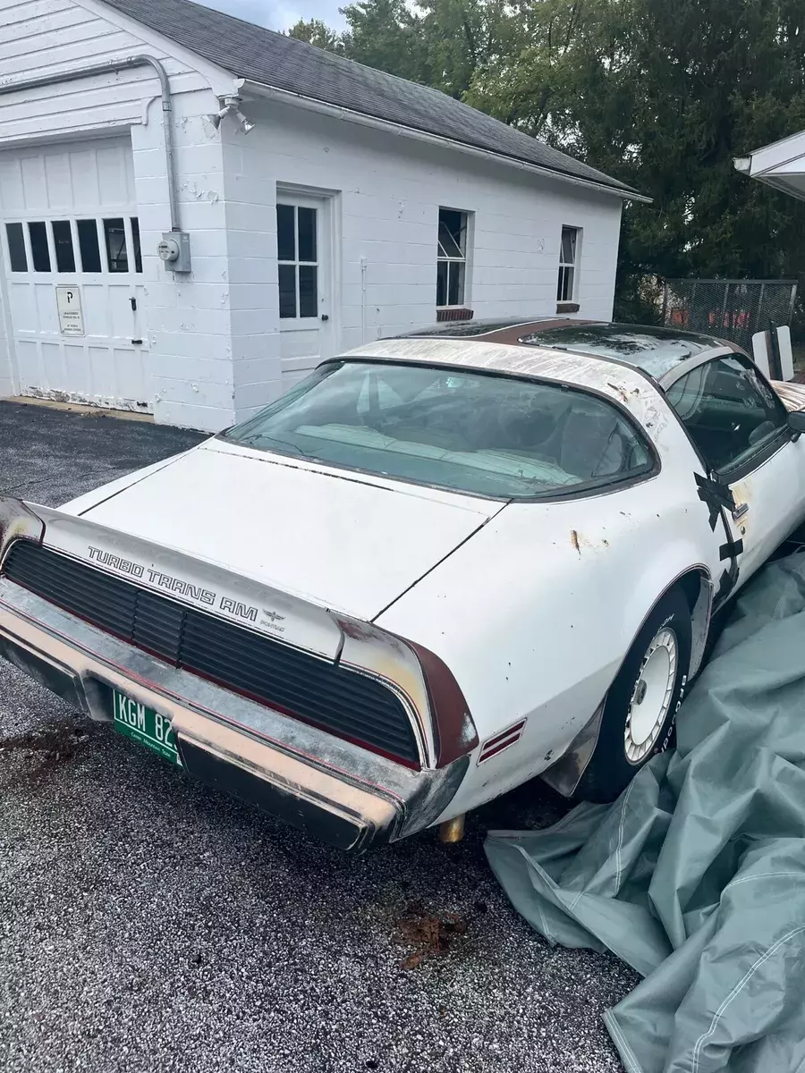 1980 Pontiac Firebird Pace Car