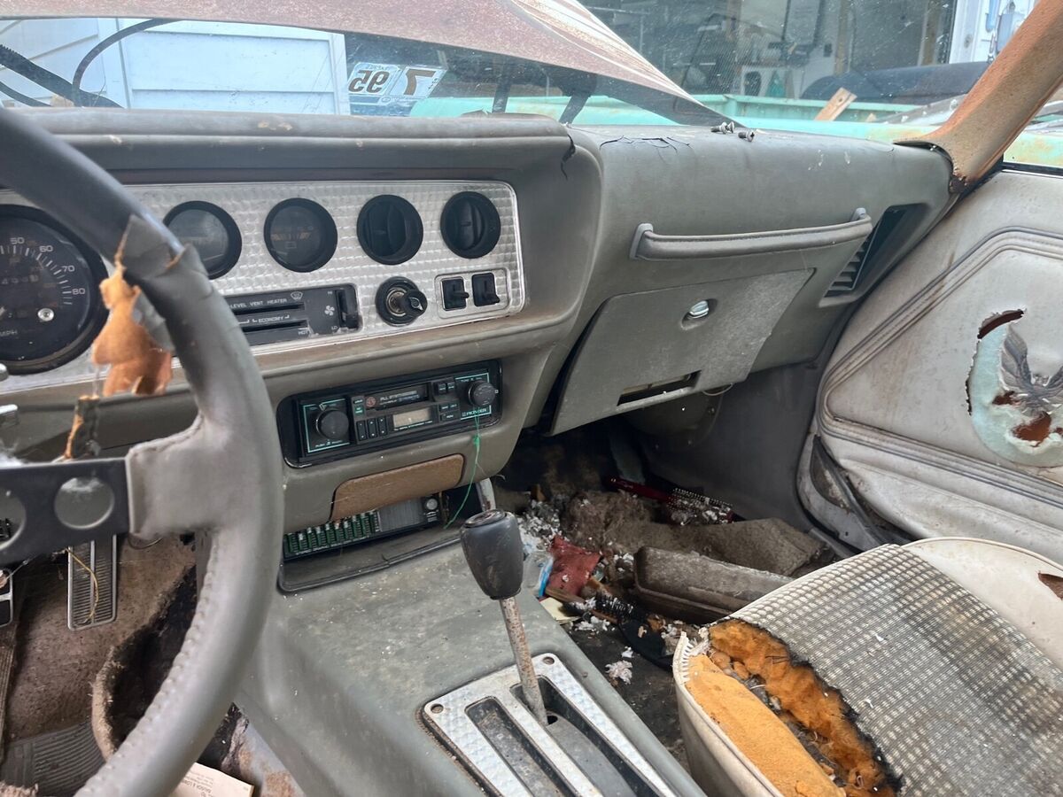 1980 Pontiac Firebird Pace Car - photo 11