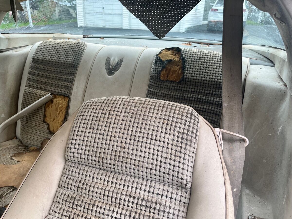 1980 Pontiac Firebird Pace Car - photo 12