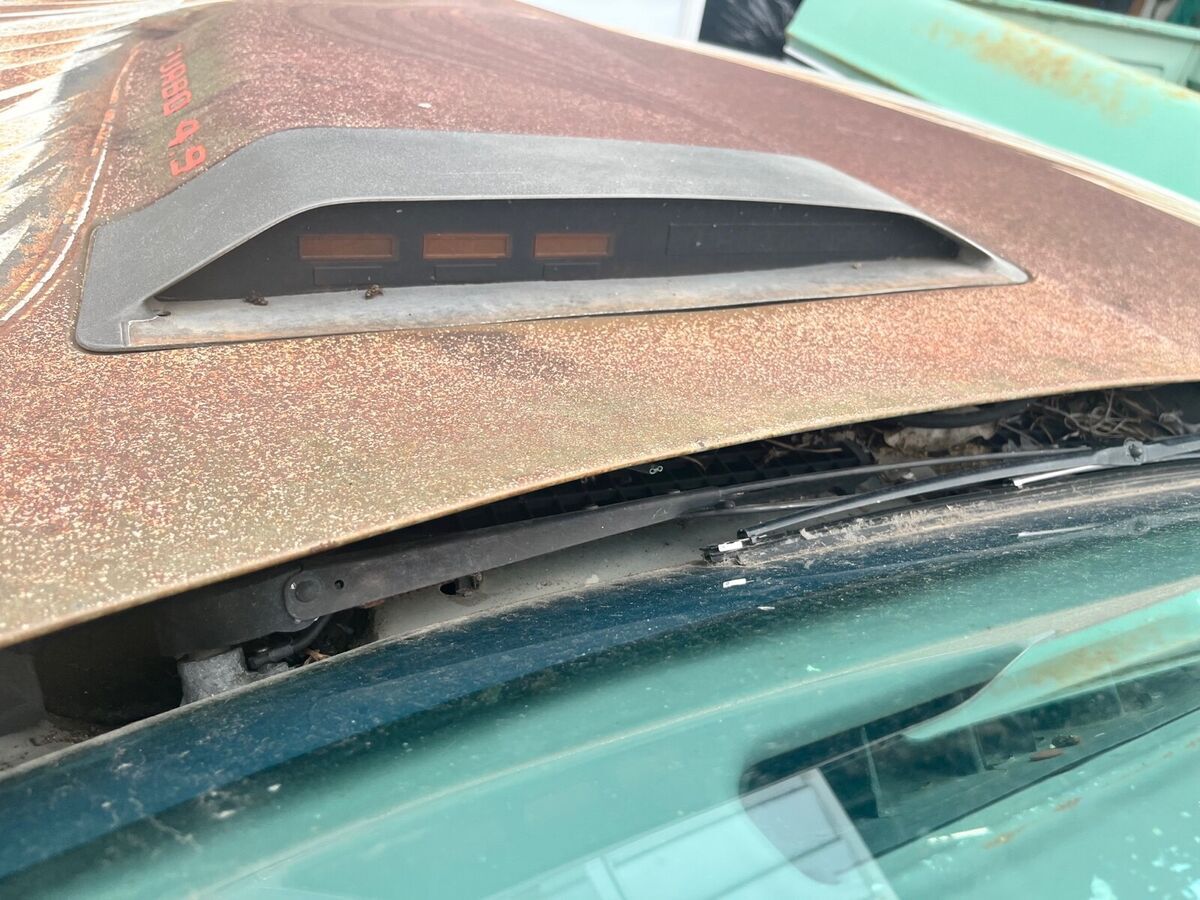 1980 Pontiac Firebird Pace Car - photo 3