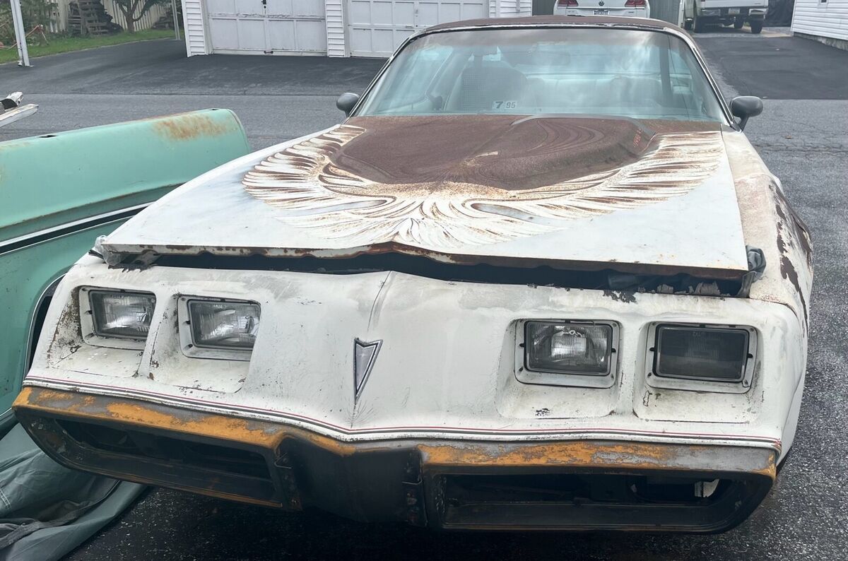 1980 Pontiac Firebird Pace Car - photo 4