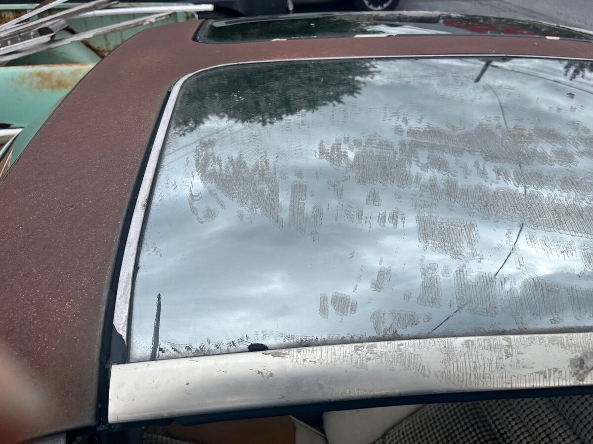 1980 Pontiac Firebird Pace Car - photo 5