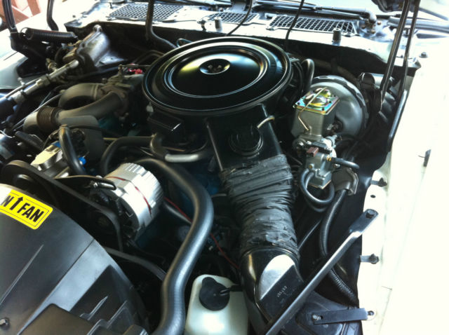 1980 Pontiac Trans Am - photo 10