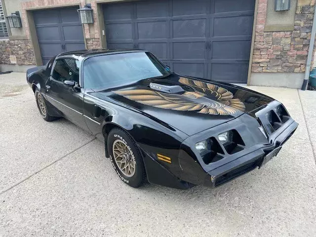 1980 Pontiac Firebird Trans Am, original black and gold car, factory t-tops 1980 Pontiac Firebird