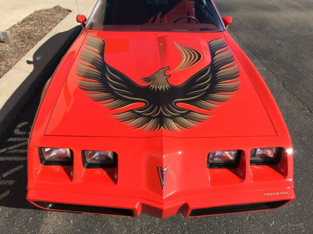 1980 Pontiac Trans Am Firebird Trans Am - photo 13