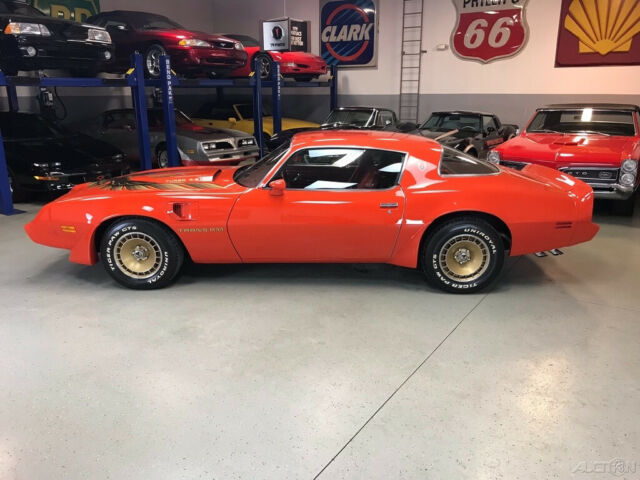 1980 Pontiac Trans Am Firebird Trans Am - photo 4