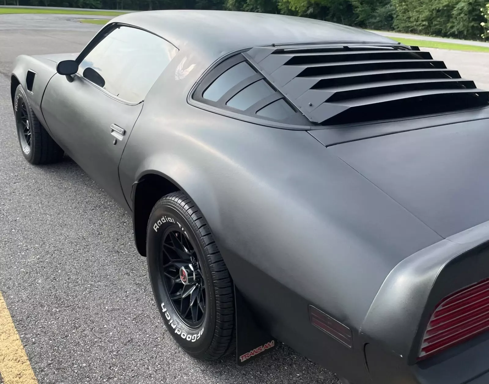 1980 Pontiac Trans Am - photo 10