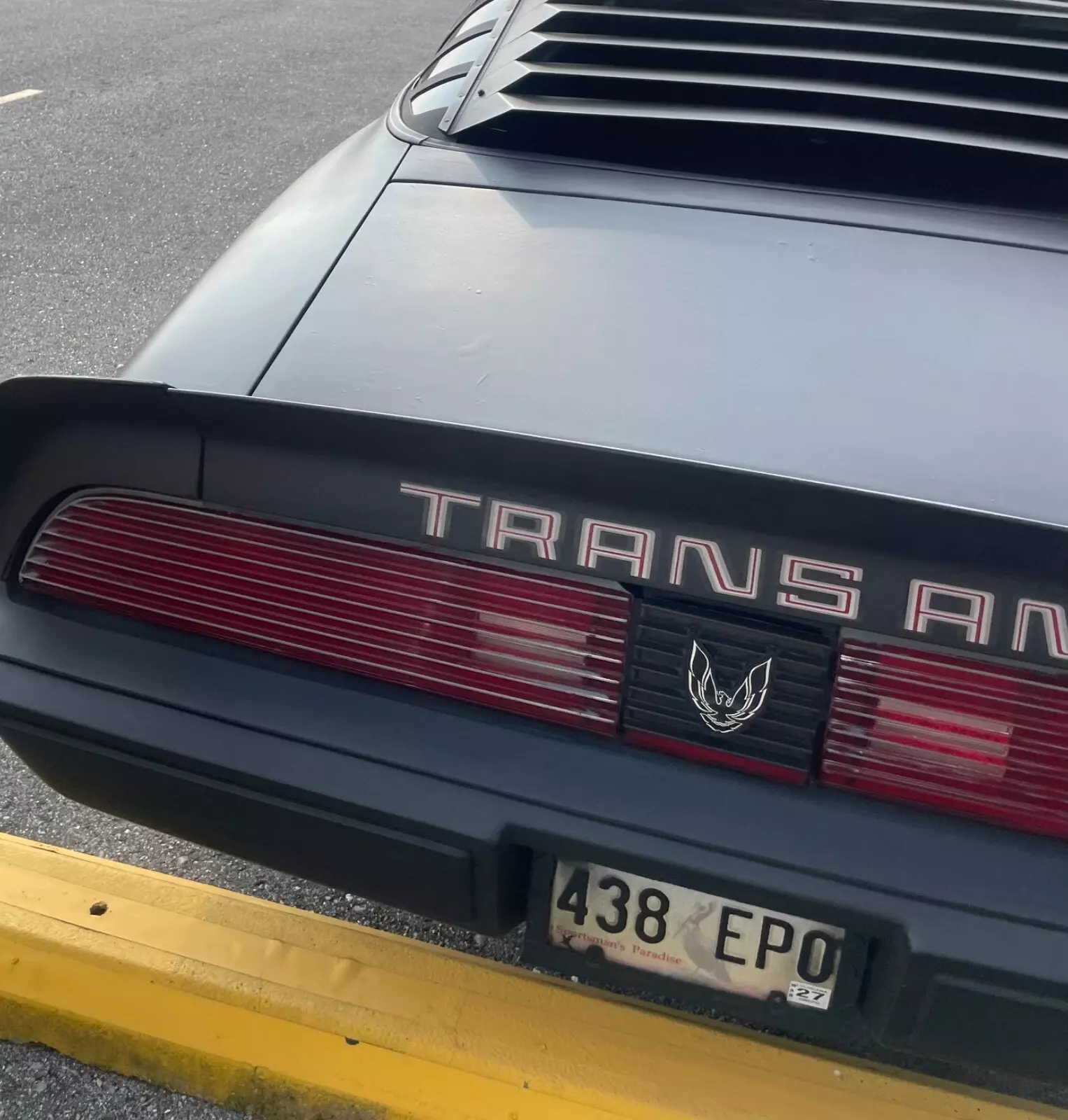 1980 Pontiac Trans Am - photo 11