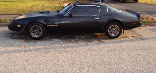 1980 Pontiac Trans Am 2W8 - photo 5