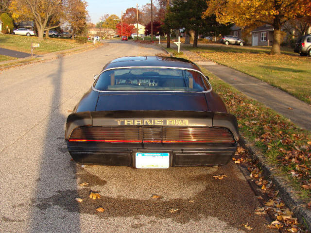 1980 Pontiac Trans Am 2W8 - photo 7