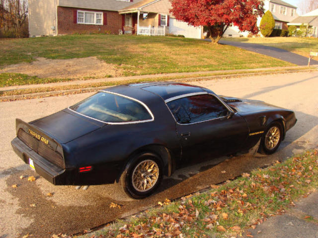 1980 Pontiac Trans Am 2W8 - photo 8