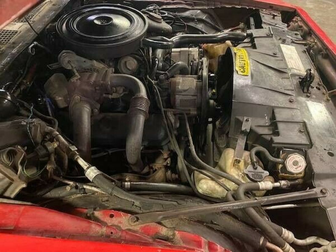 1980 Pontiac Trans Am - photo 12
