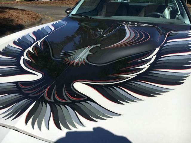 1980 Pontiac Firebird - photo 5