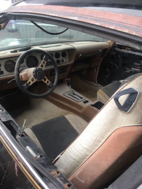 1980 Pontiac Trans Am SE Y84 - photo 3