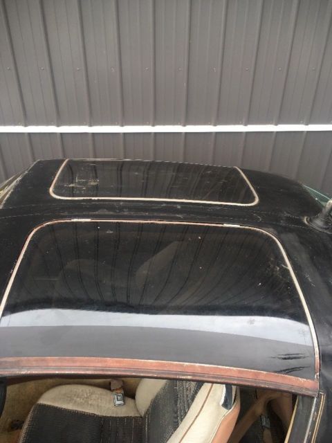 1980 Pontiac Trans Am SE Y84 - photo 5