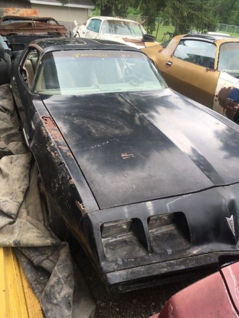 1980 Pontiac Trans Am SE Y84 - photo 7