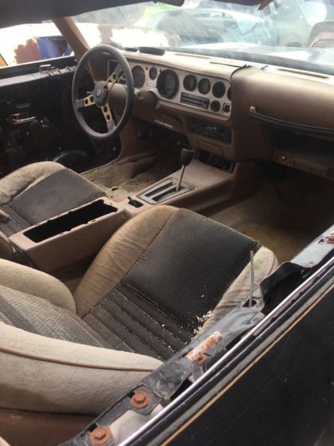1980 Pontiac Trans Am SE Y84 - photo 9