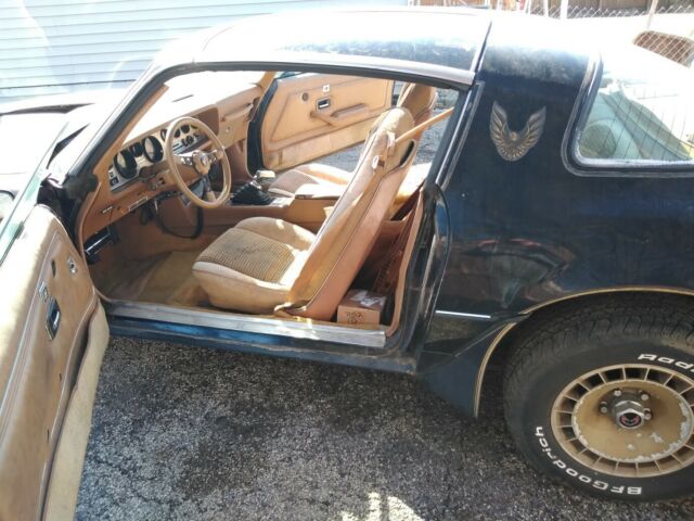 1980 Pontiac Firebird TRANS AM SPECIAL EDITION - photo 12