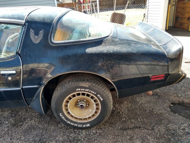 1980 Pontiac Firebird TRANS AM SPECIAL EDITION - photo 9
