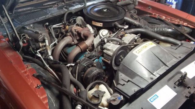 1980 Pontiac Firebird - photo 11