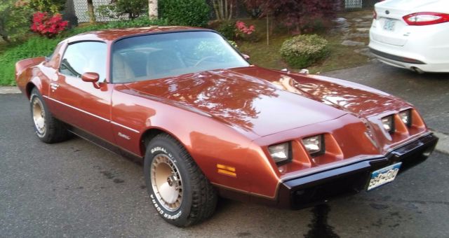 1980 Pontiac Firebird - photo 2