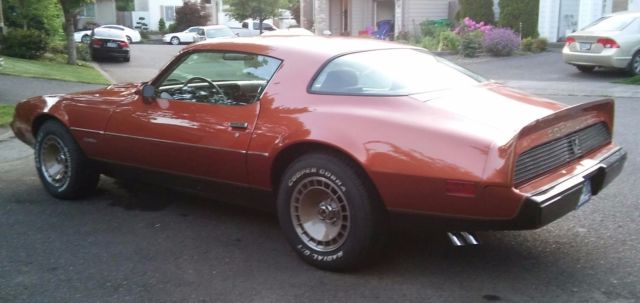 1980 Pontiac Firebird - photo 4