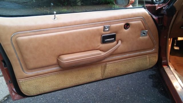 1980 Pontiac Firebird - photo 6