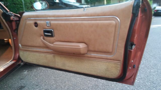 1980 Pontiac Firebird - photo 7