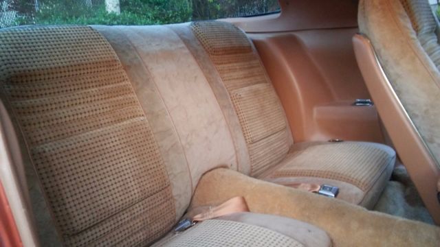 1980 Pontiac Firebird - photo 8