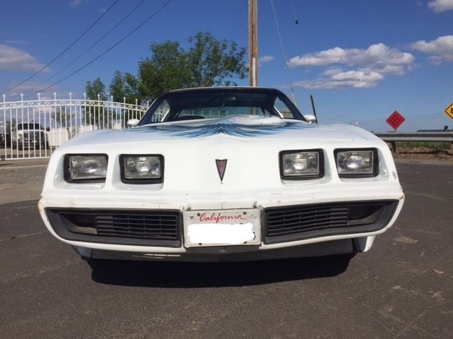 1980 Pontiac Firebird Turbo Trans Am 1980 Pontiac Firebird
