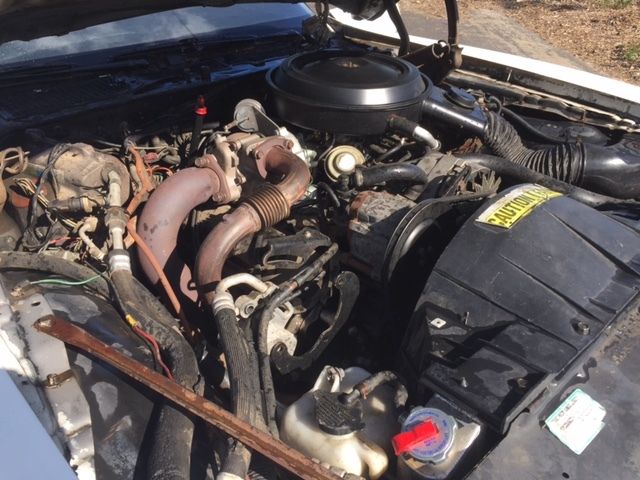 1980 Pontiac Firebird - photo 10