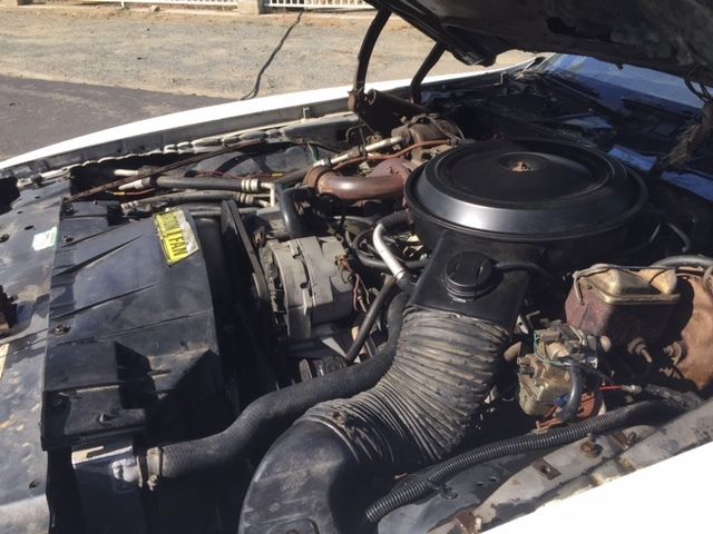 1980 Pontiac Firebird - photo 11