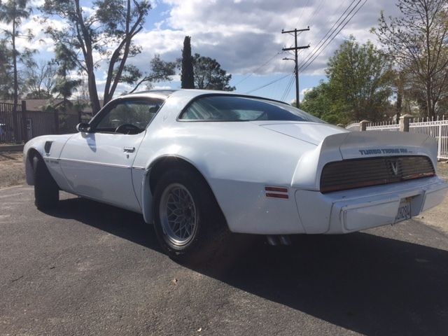 1980 Pontiac Firebird - photo 3