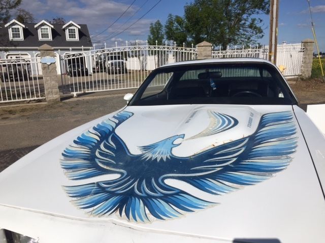 1980 Pontiac Firebird - photo 5
