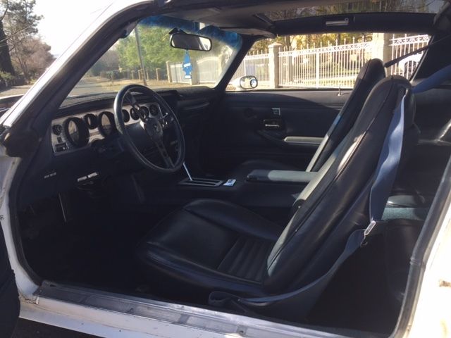 1980 Pontiac Firebird - photo 6