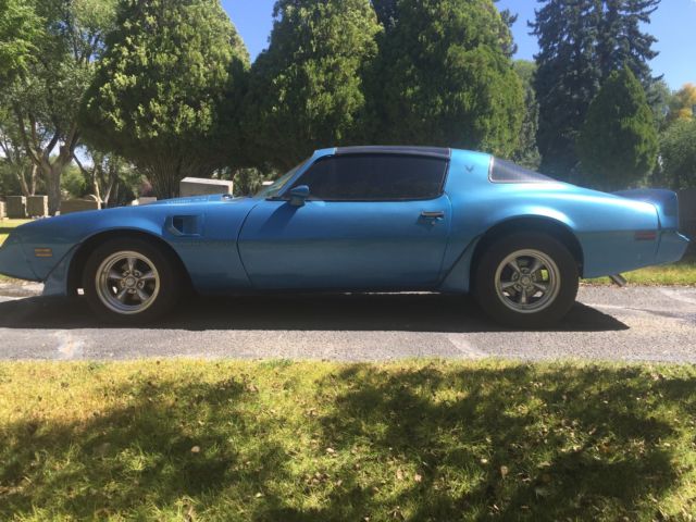 1980 Pontiac Firebird Turbo Trans Am Coupe 2-Door 4.9L-301 Blue T-tops 1980 Pontiac Firebird