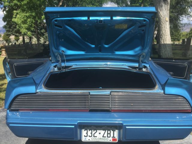 1980 Pontiac Firebird - photo 10