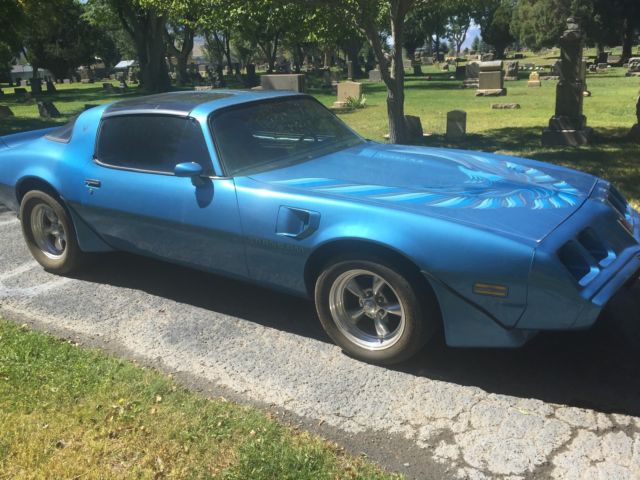 1980 Pontiac Firebird - photo 11