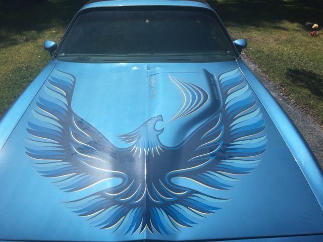 1980 Pontiac Firebird - photo 3