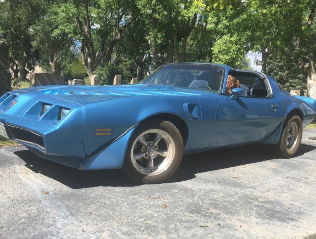 1980 Pontiac Firebird - photo 7