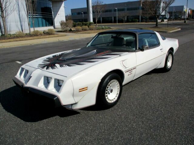 1980 Pontiac Firebird Turbo Trans Am Indy Pace Car Edition Rare Collectible 1980 Pontiac Firebird Turbo Trans Am