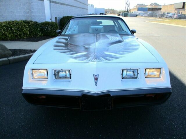 1980 Pontiac Firebird Turbo Trans Am - photo 10