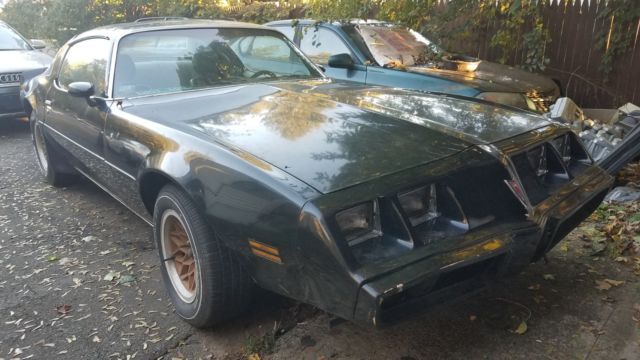 1980 Pontiac Firebird Espirit - photo 3