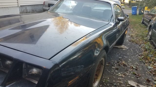1980 Pontiac Firebird Espirit - photo 4